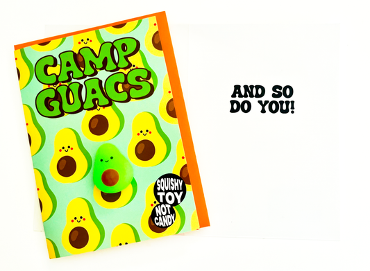 Camp Guacs! (with mini avocado squishy)